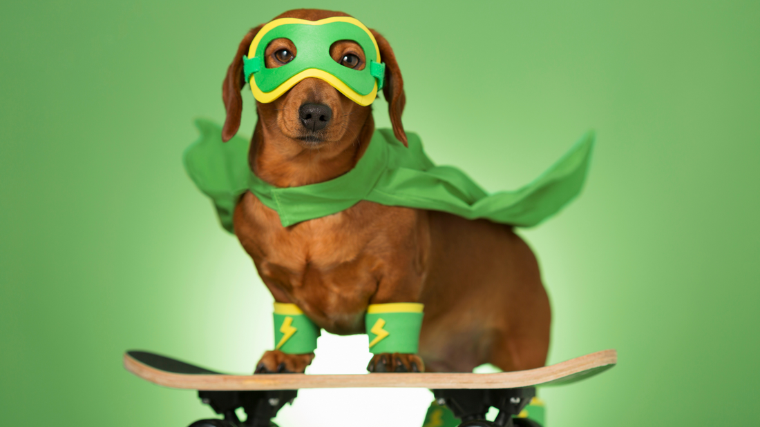 Activated Carbon Pre-Filters: The superheroes of filtration!