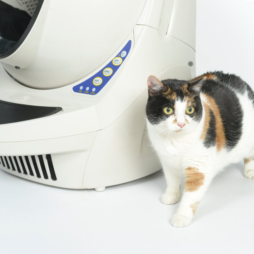 6-Pack Replacement Carbon Filter - Litter Robot 3