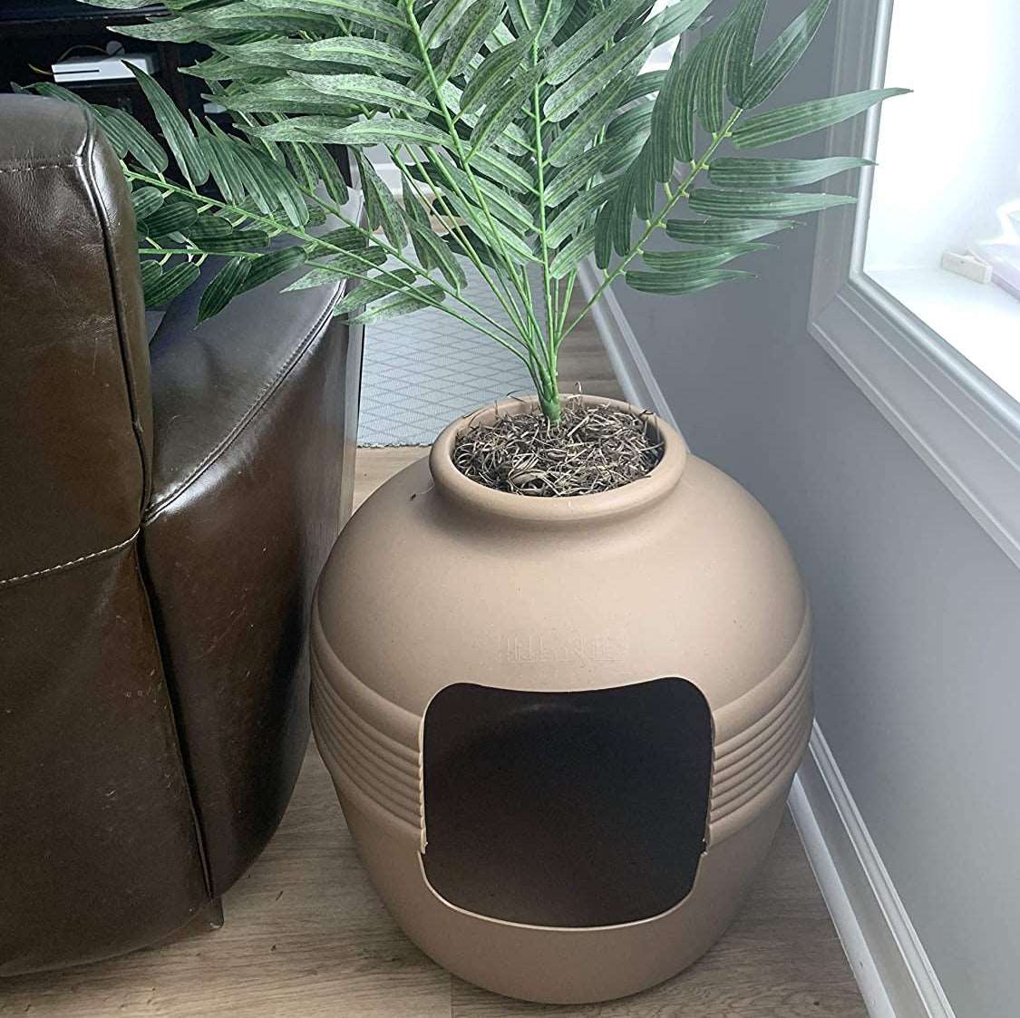 Hidden cat litter outlet box plant